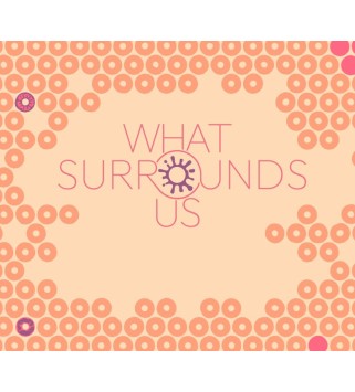 What Surrounds Us Steam Key GLOBAL